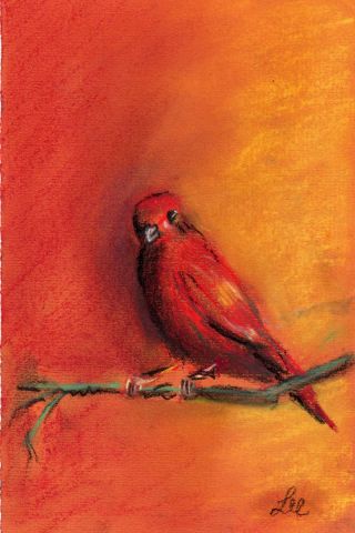 l'oiseau rouge